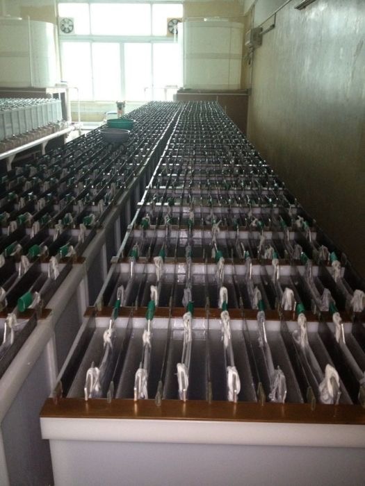 electrolysis equipment